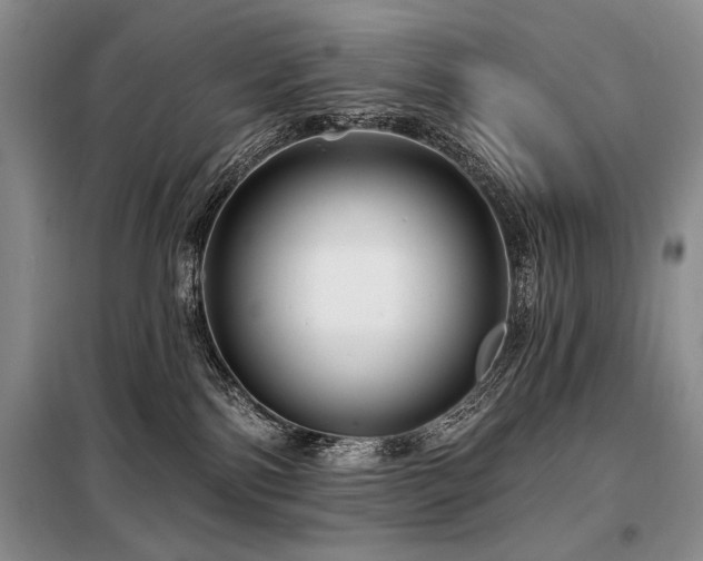 X0000098130138200804171531