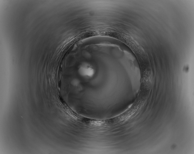 X0000098130139200804171531