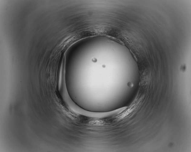 X0000098130140200804171531
