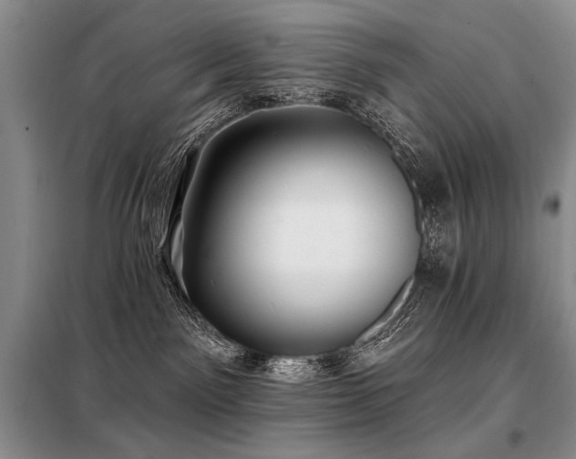X0000098130141200804171531