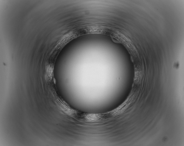 X0000098130142200804171531