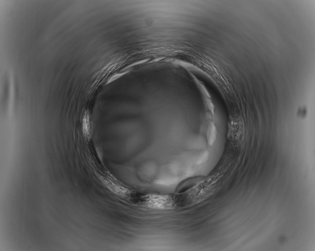 X0000098130143200804171531