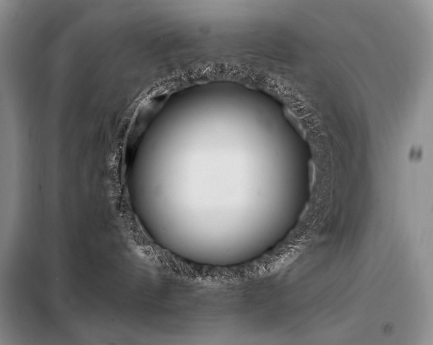 X0000098130144200804171531