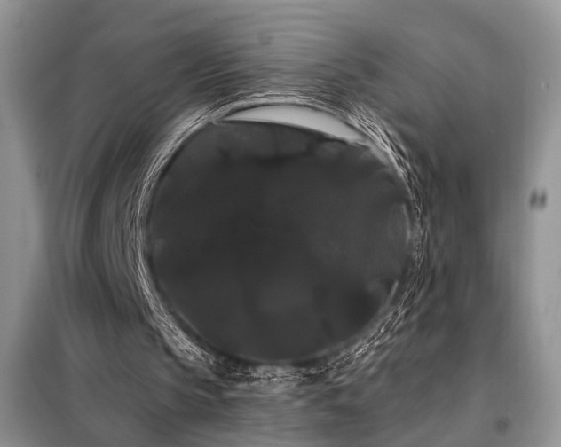 X0000098130145200804171530