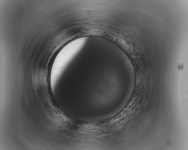 X0000098130146200804171530