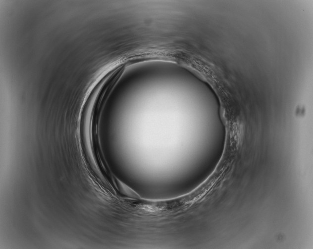 X0000098130148200804171530
