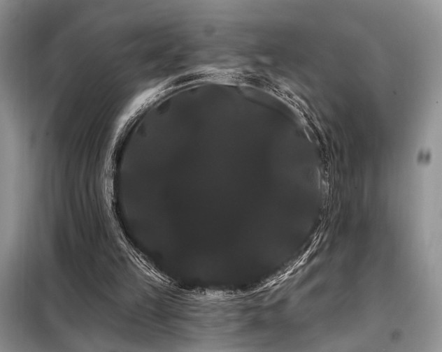 X0000098130149200804171530