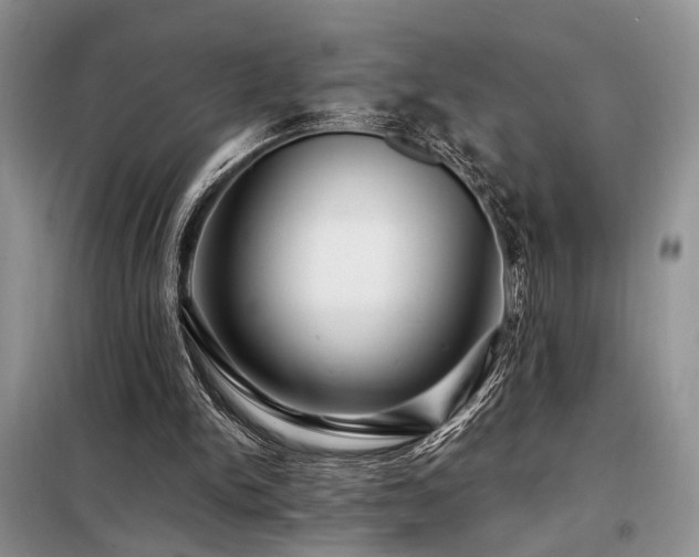 X0000098130150200804171530