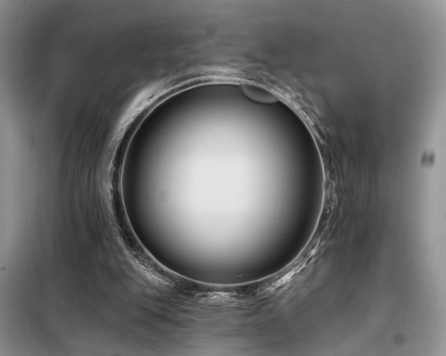 X0000098130151200804171530