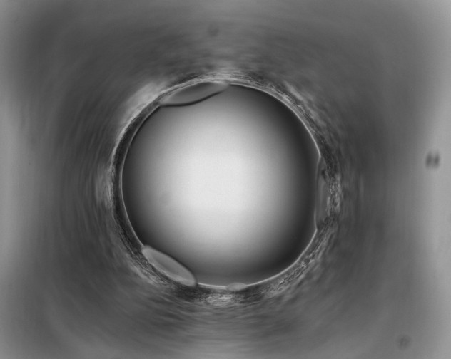 X0000098130152200804171530