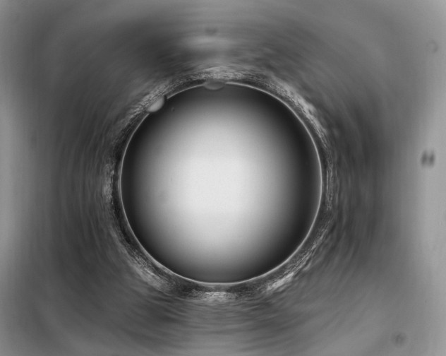 X0000098130153200804171530