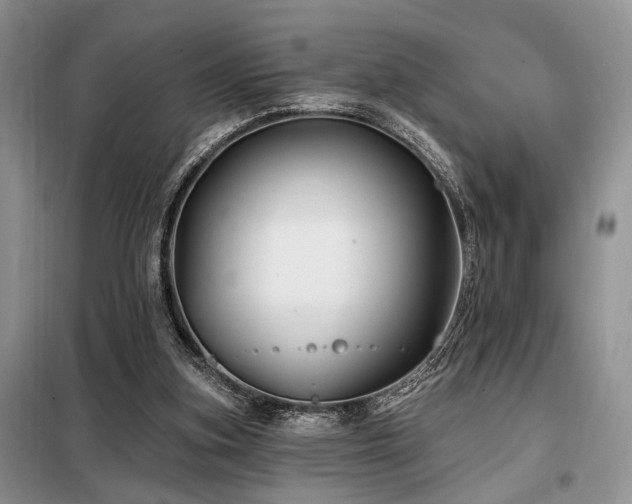 X0000098130155200804171531