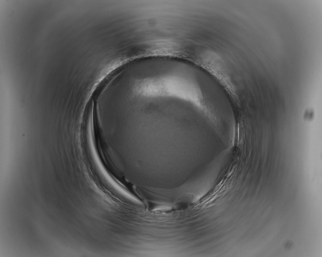 X0000098130156200804171531