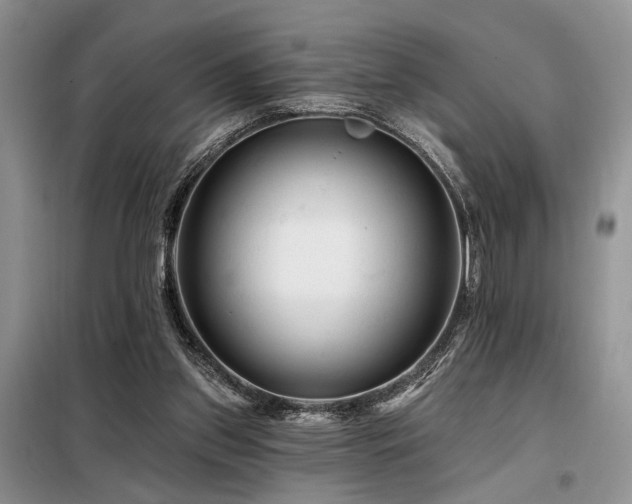 X0000098130157200804171531