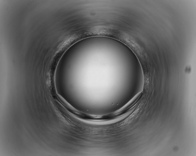 X0000098130158200804171531