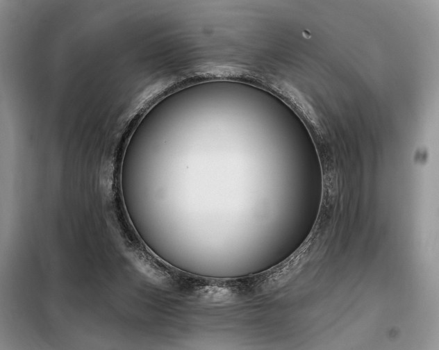 X0000098130159200804171531
