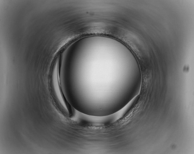 X0000098130160200804171531