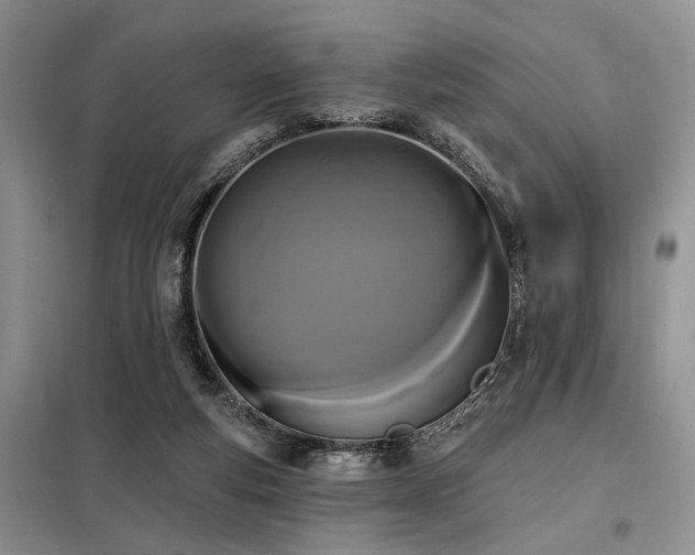 X0000098130163200804171531