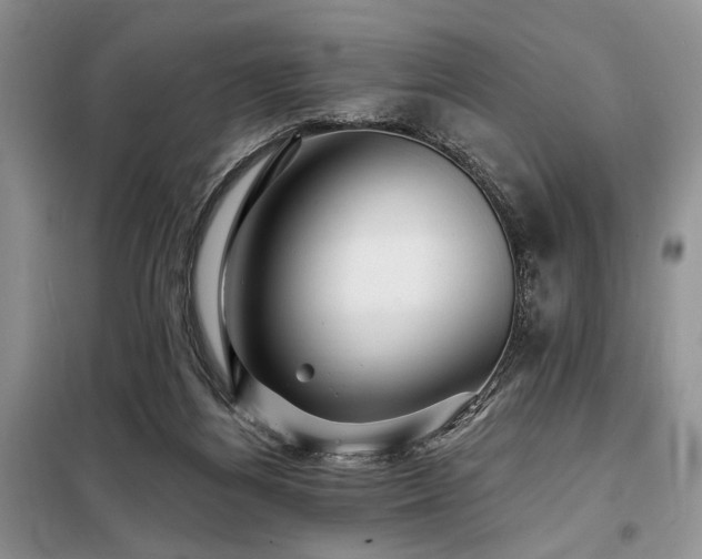 X0000098130164200804171531