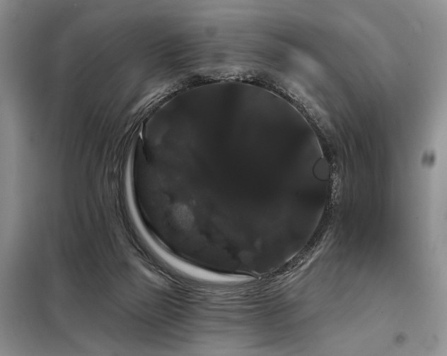 X0000098130165200804171531