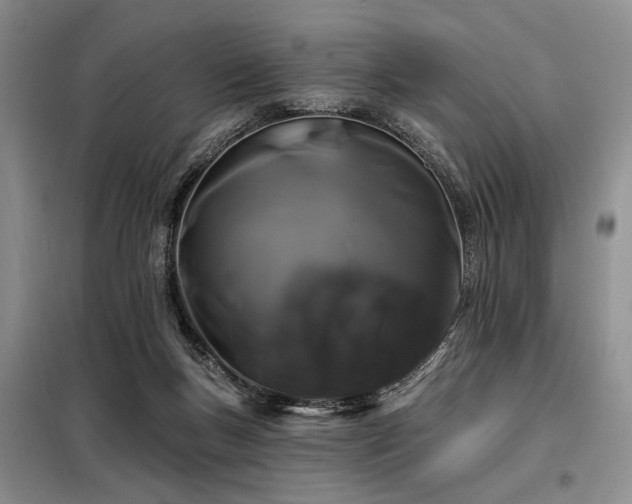 X0000098130167200804171531