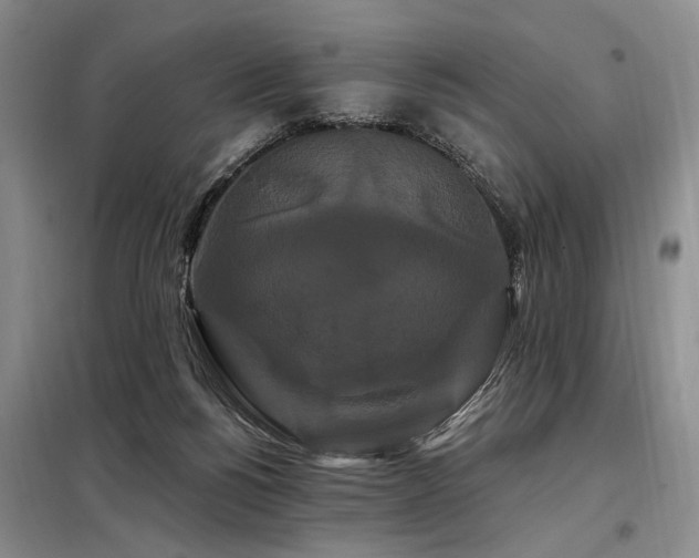 X0000098130168200804171531