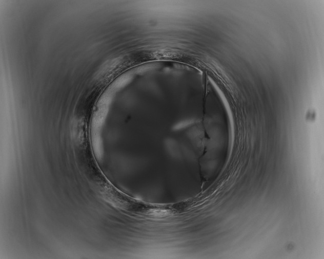 X0000098130169200804171531