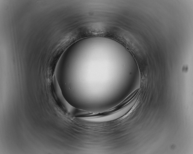 X0000098130170200804171531