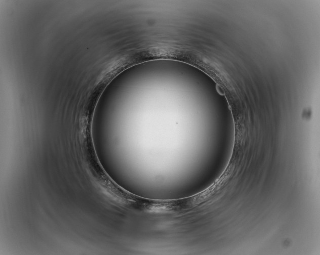 X0000098130171200804171531