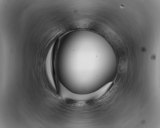X0000098130172200804171531