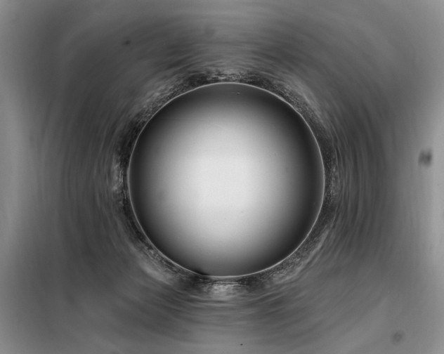 X0000098130173200804171531