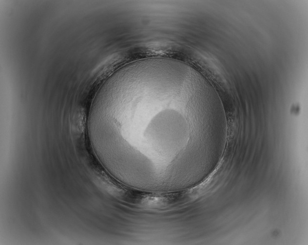 X0000098130174200804171531
