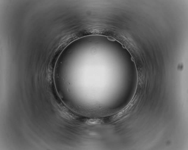 X0000098130175200804171531