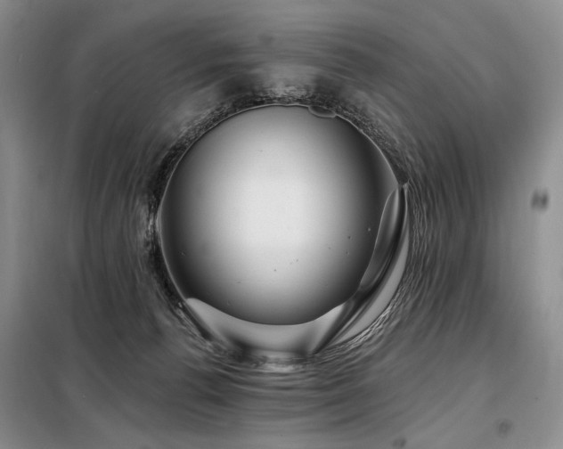 X0000098130176200804171531