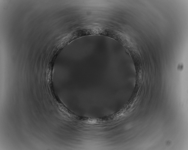 X0000098130177200804171531