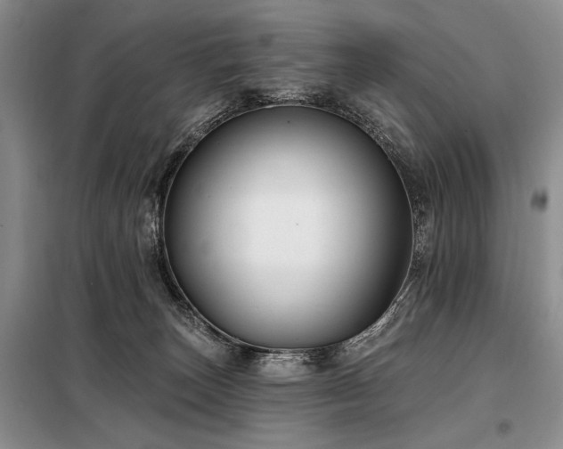 X0000098130179200804171531