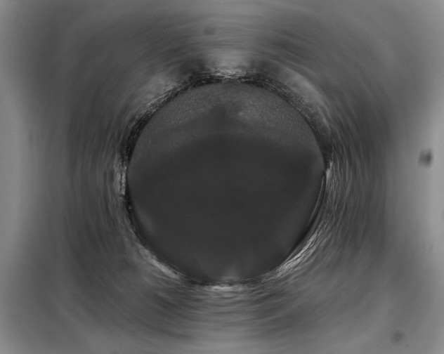 X0000098130180200804171531