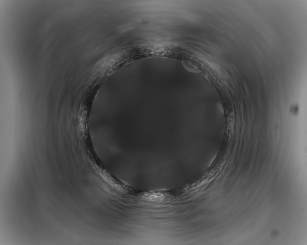 X0000098130181200804171531