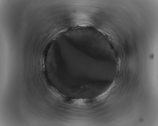X0000098130182200804171531