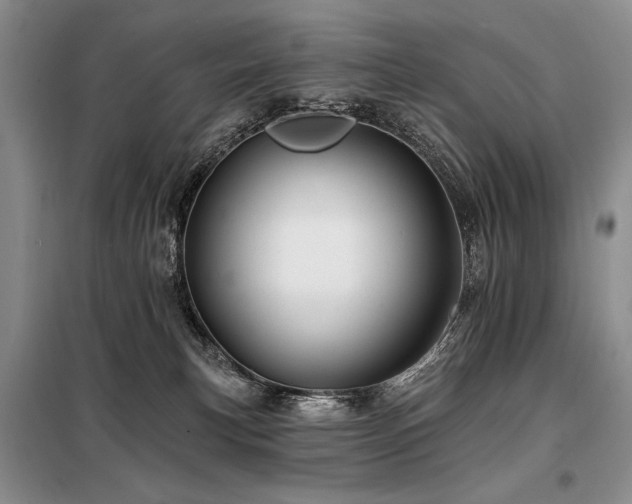 X0000098130183200804171531
