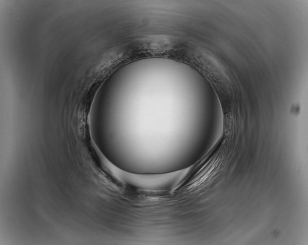 X0000098130184200804171531