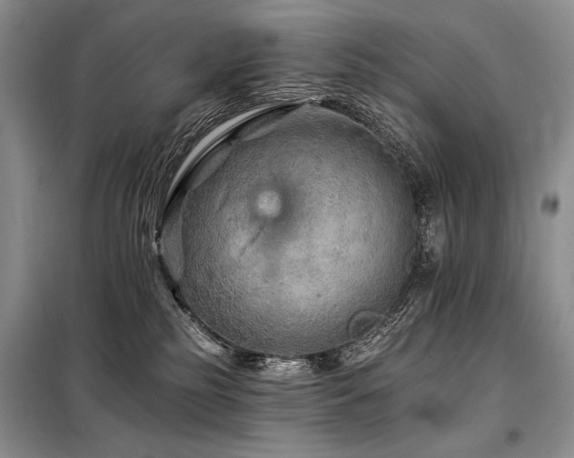 X0000098130185200804171531