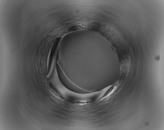 X0000098130186200804171531