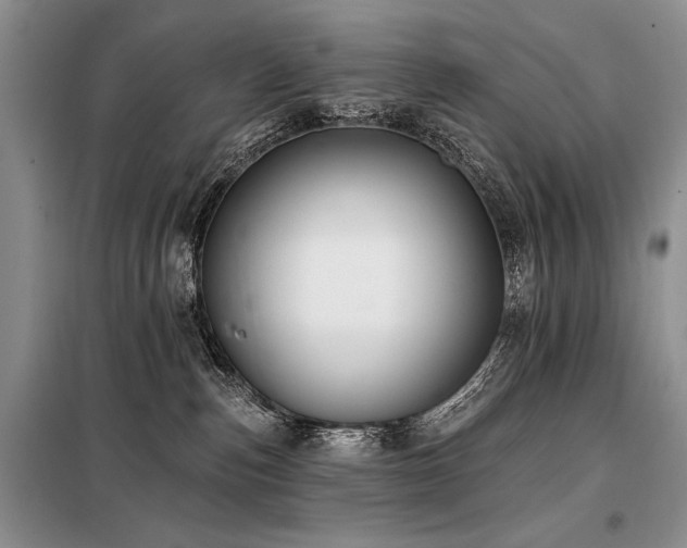 X0000098130187200804171531