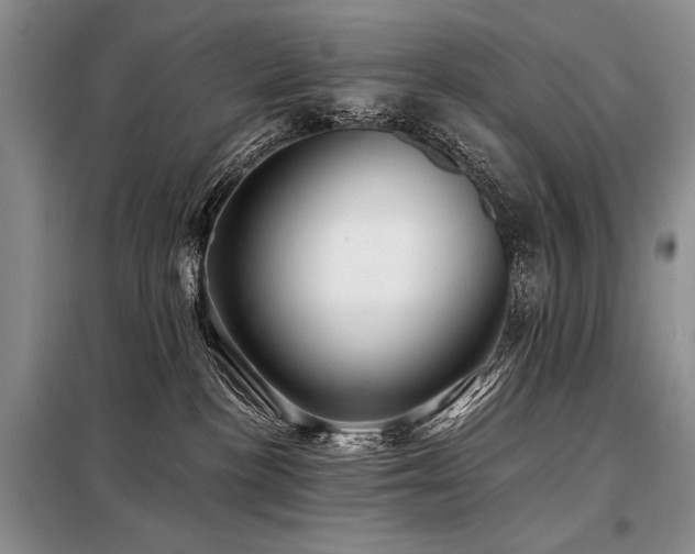X0000098130188200804171531