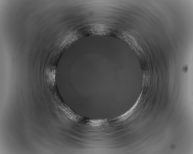 X0000098130190200804171531