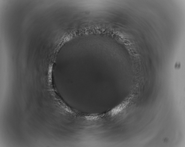 X0000098130192200804171531