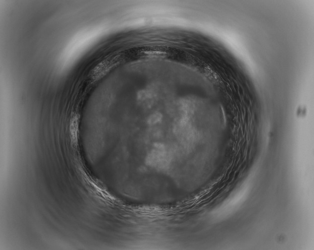 X0000098130194200804171530