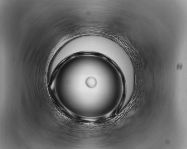 X0000098130195200804171530