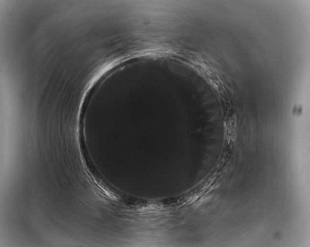 X0000098130196200804171530